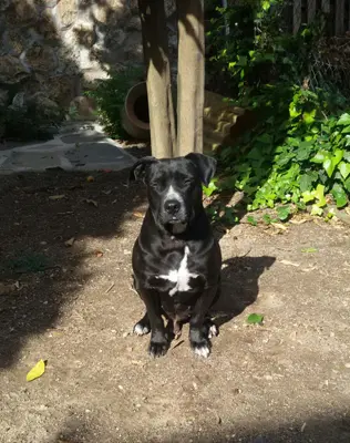 Foto Pankeke Foto Pankeke