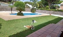 CIPION ZAOREJAS