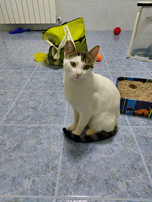 VENTURADA554(FREDDY)