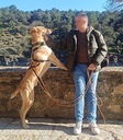Imagen de B19.158