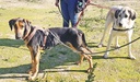 Imagen de A24.162