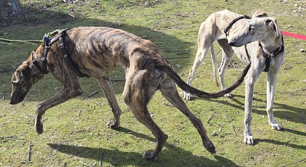 Imagen de A26.010
