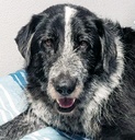 Imagen de B24.094