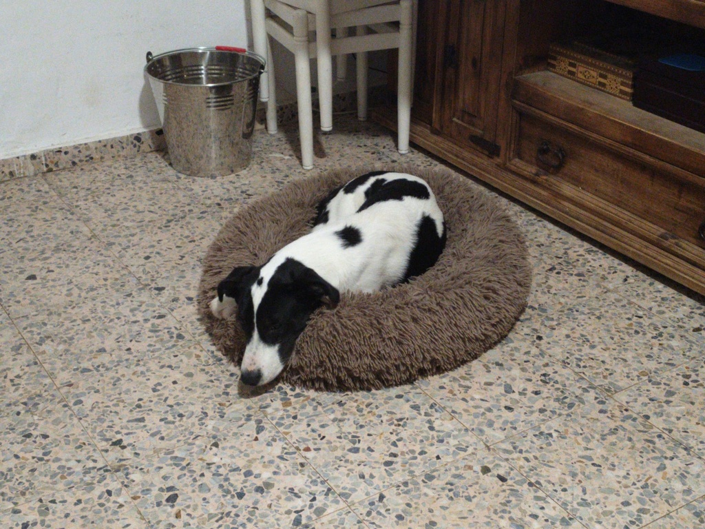Imagen de B25.121