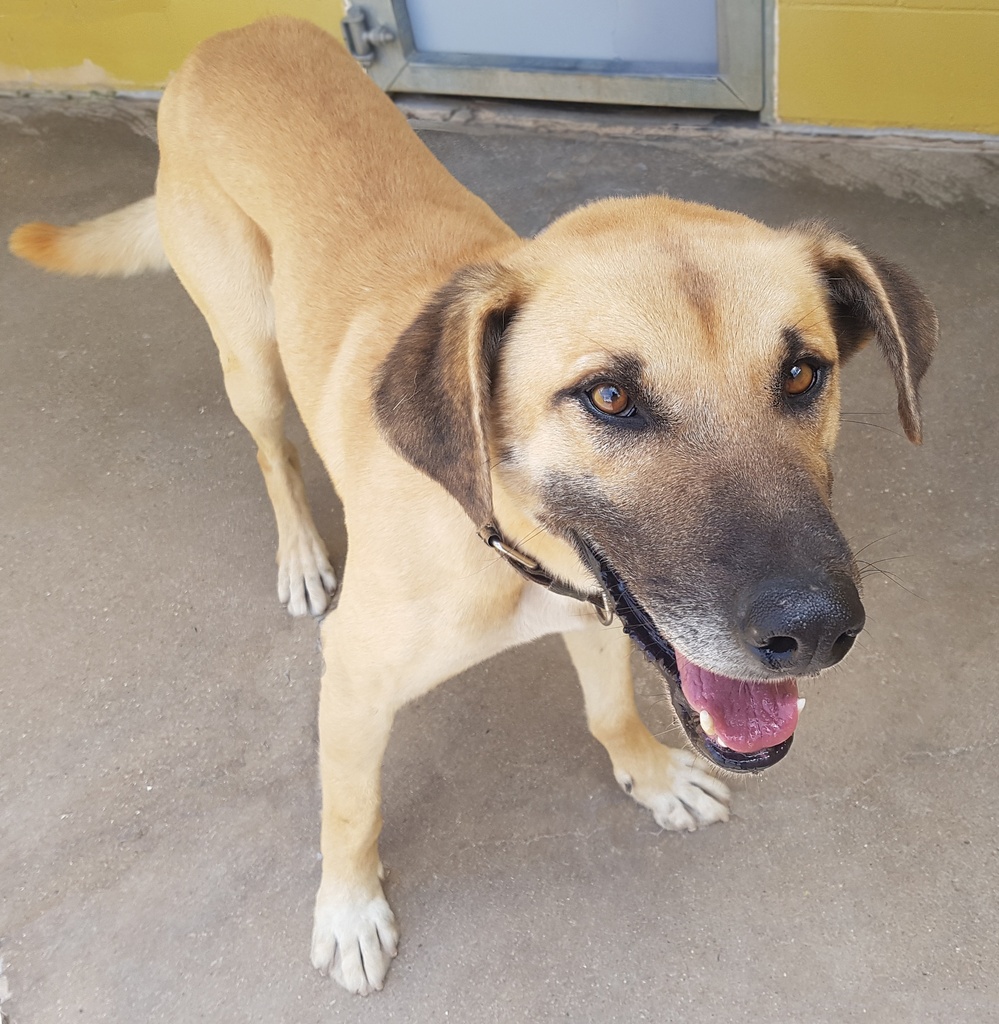 TEMPRANILLO QUINTANAR