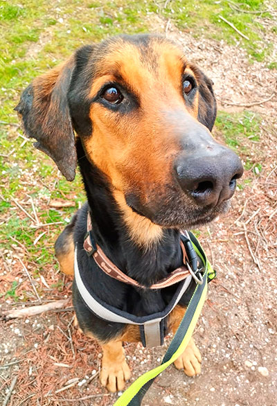 ROCKY