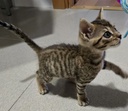 MINIFU