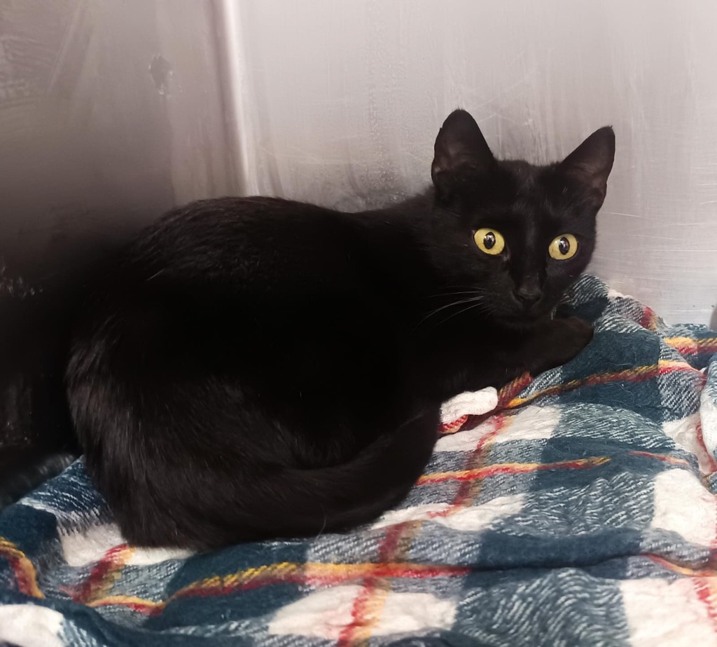 PAQUITA